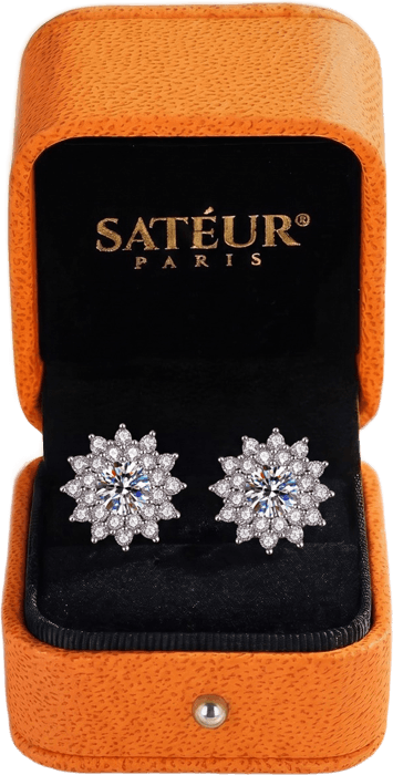 Tournesol Earrings in its open box
